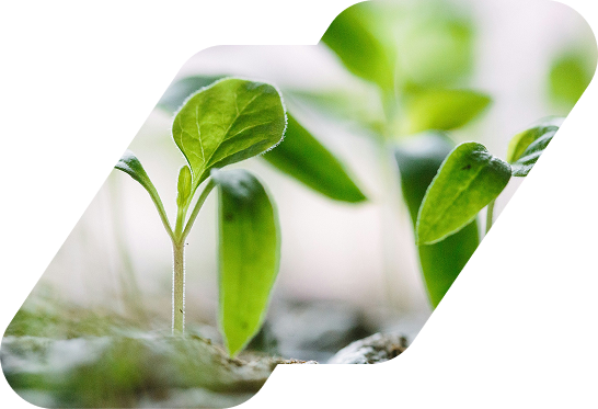 100% Green Energy Distribution Center